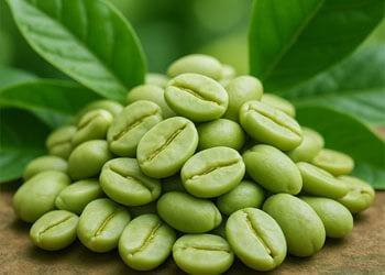 AquaSculpt Ingredient 1