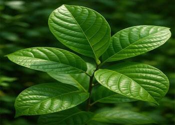 The Science Behind Cold Water and Weight Loss